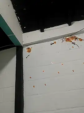 sk8-sir Adlı Modelin Canlı XXX Sohbeti