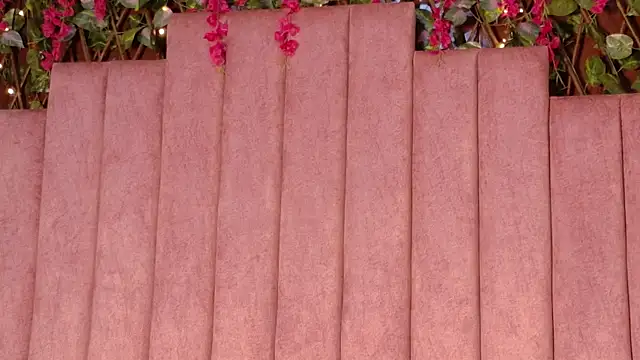 MiaJanssn Webbikameraesitys