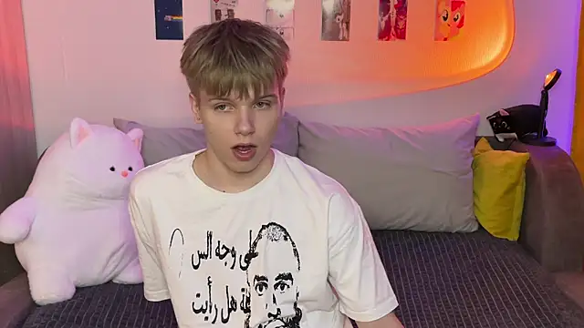 metarion webcam show