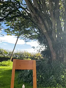 AliceMrtnz Live XXX Chat