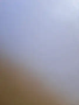 Backdoor_Newbie élő XXX-chatje