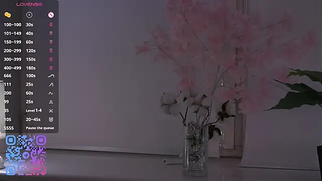 Show Webcam de HannaHayles