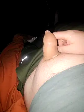 Rolog12334n Webbikameraesitys