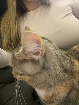 Chat XXX ao vivo de Majic_Maffin