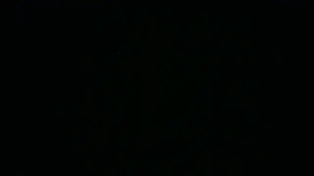 Онлайн чат XXX BustedCall