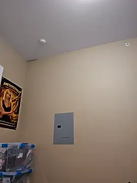 AmethystFoxx Live XXX-Chat