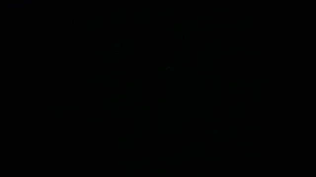 BustedCall 在線直播表演