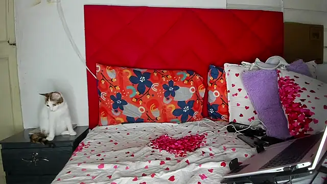 Živý XXX chat Alexxa_Rodriguez