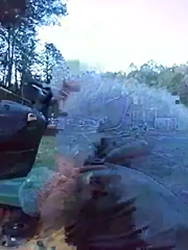 Show webcam de Biknight