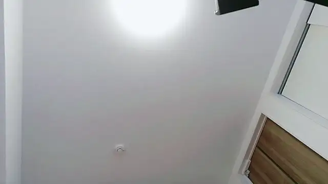 IORio2のウェブカメラショー