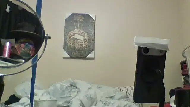 Show webcam de hailzeffn