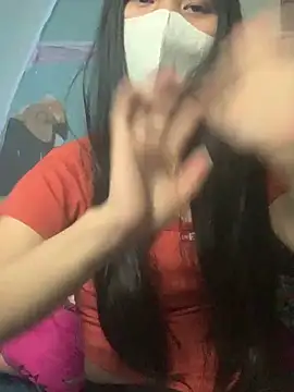 baeas-lan 网络视讯表 演