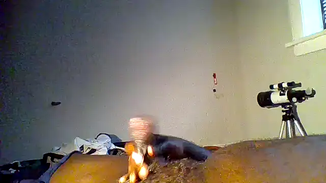 JezOne555's Webcam Show