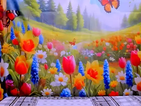 indianroxy 라이브 XXX 채팅