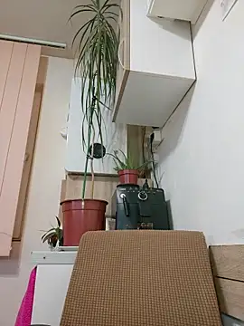 AdaJoy – Live XXX-chat