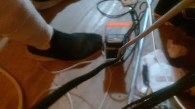 ctguybj élő XXX-chatje