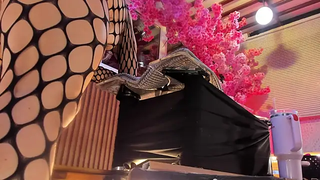 Chat XXX ao vivo de aliseparker2021