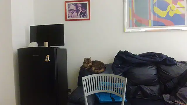 AMIRDIB2025 라이브 XXX 채팅