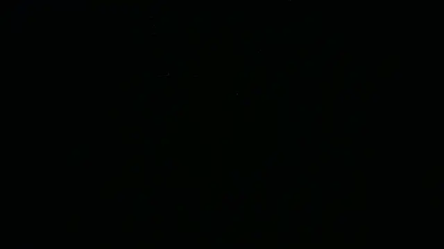 BustedCall élő XXX-chatje