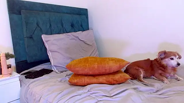 cedrixx10 লাইভ XXX চ্যাট