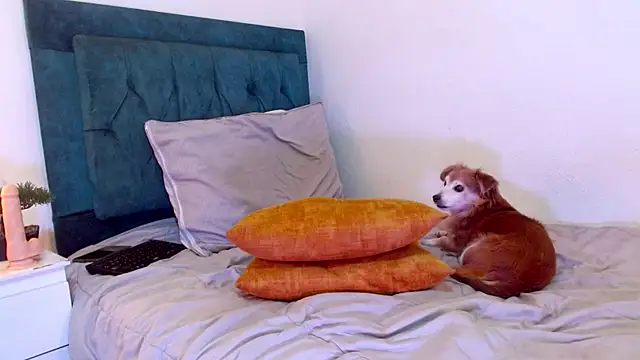 cedrixx10 live XXX chat