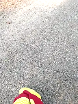 Sembang XXX Secara Langsung TamilDreamgirl08