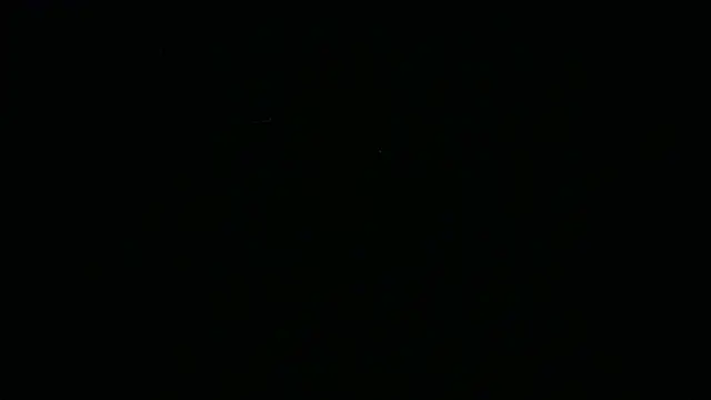 BustedCall 现场XXX聊天