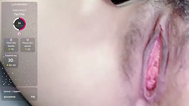 H-2005 ওয়েবক্যাম শো