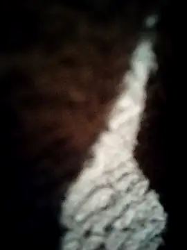 Pokazy przed kamerką – alphamale25