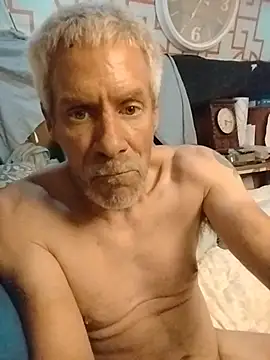 Show Webcam de Biknight