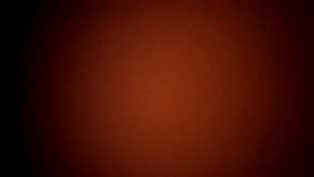 FUNINWV9 webkamerás műsora