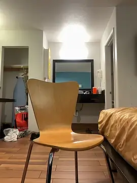 Show Webcam de Texascoastedger