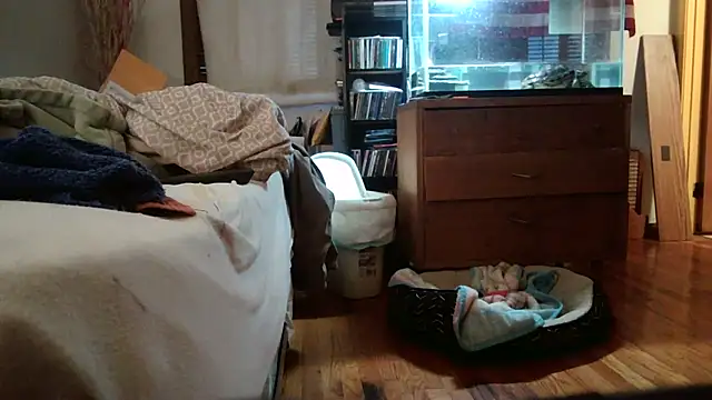 Show Webcam de jumpingtomflash