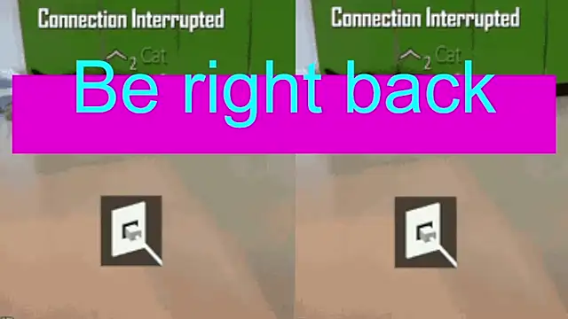 BimboCat webkamerás műsora