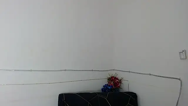 DominnantTransqueenのウェブカメラショー