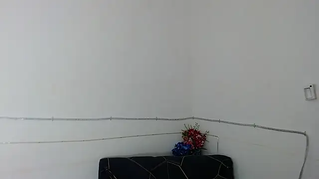 DominnantTransqueen 在線直播表演