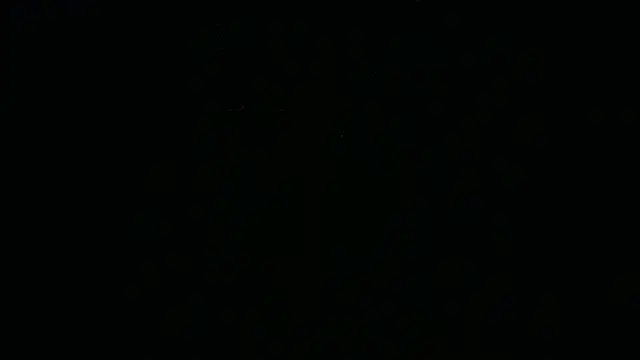 Show webcam de BustedCall