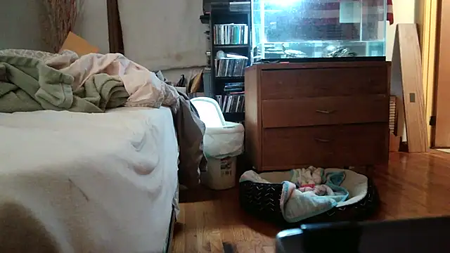 jumpingtomflashn Webbikameraesitys