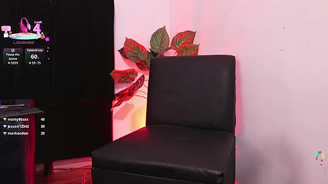 Misterjhons2: вебкам-шоу