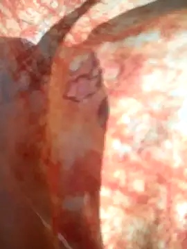 Monika_thakurr Webcamshow