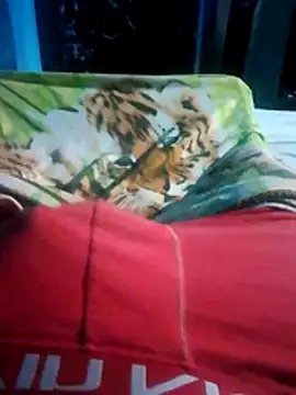 Show de webcam de MAsa-48