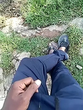 عرض كام dolphiinn