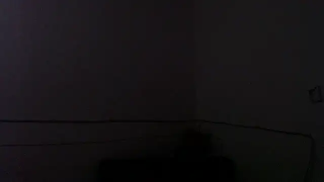 DominnantTransqueenn Live XXX chat