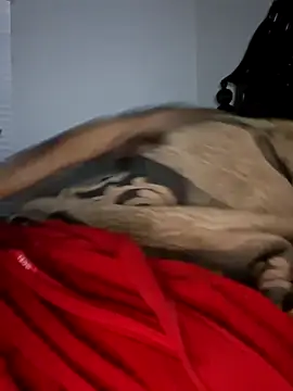 bigboytoy912 Webcam-Show