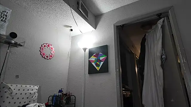 Triggerhappycj100のウェブカメラショー