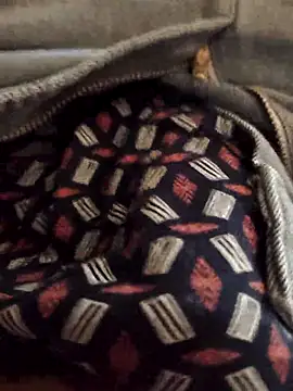 saur1221wjz Webcam-Show