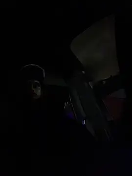 dingoding's Webcam Show