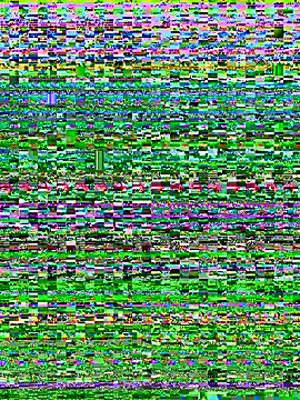 Czat XXX na żywo – SweetParadise00