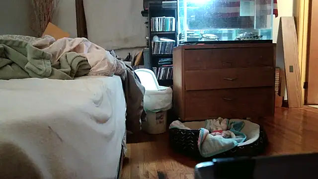 jumpingtomflash 웹캠 쇼