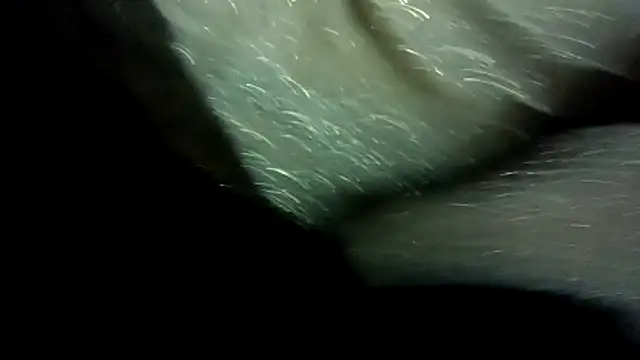 Chat XXX en directo de SexyB214